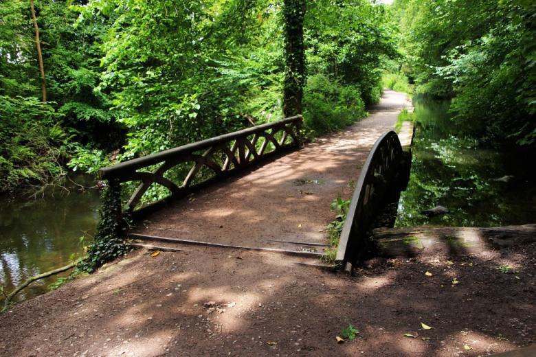 Ścieżka w parku, zielone drzewa  i mostek