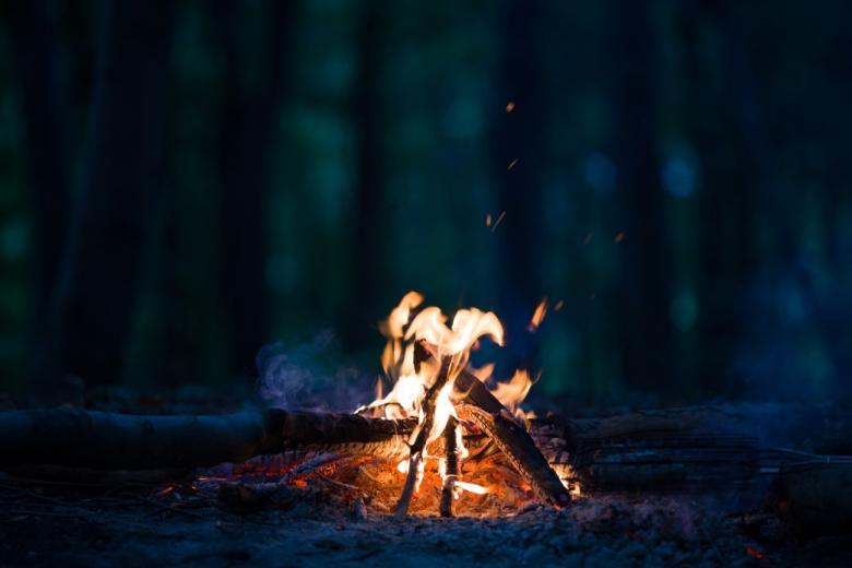 zdjęcie ogniska w lesie 