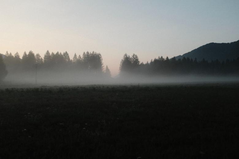 Zdjęcie mgły nad łąką i lasem
