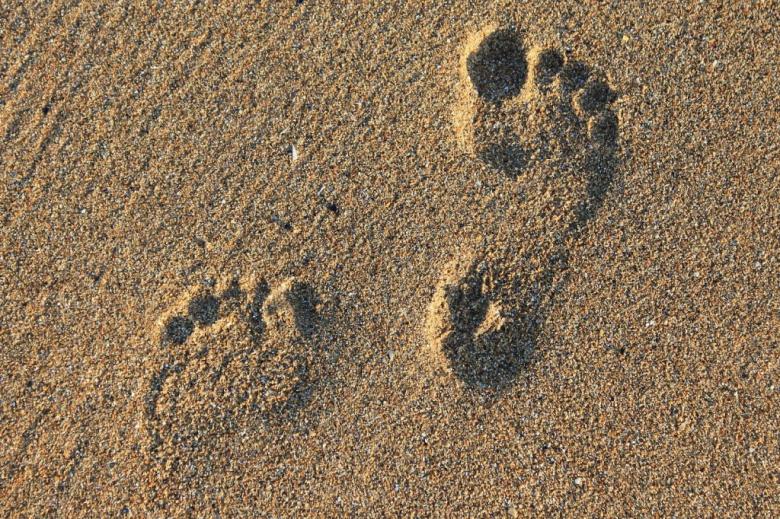 zdjęcie odciśniętych stóp w piasku 