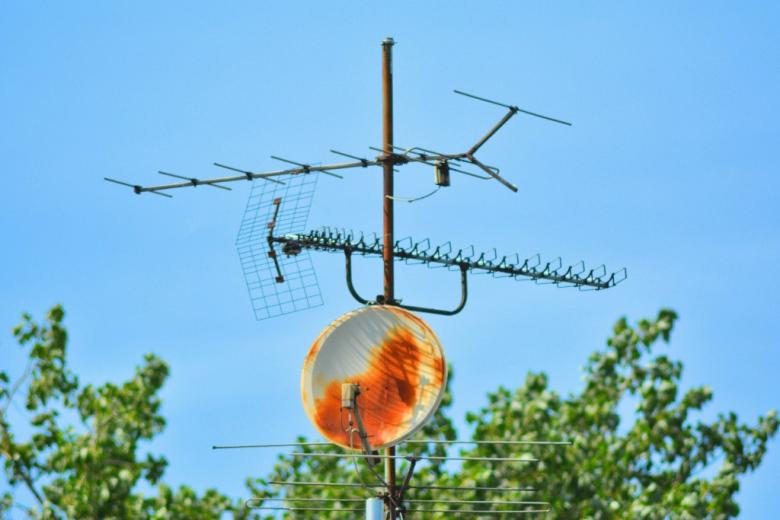 antena telewizyjna nad drzewami 