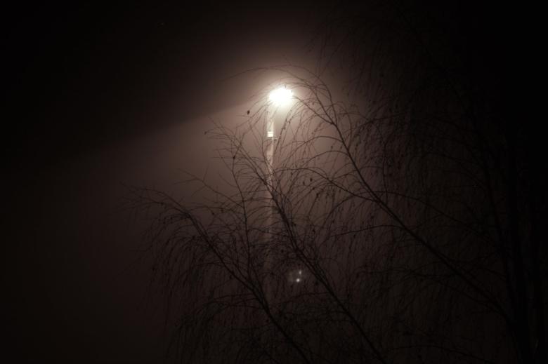 lampa uliczna w nocy nad drzewem   