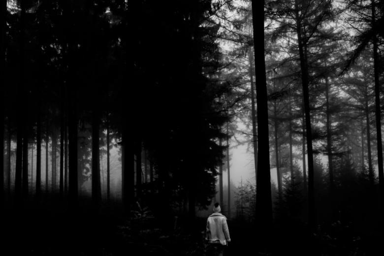 Osoba w ciemnym lesie 