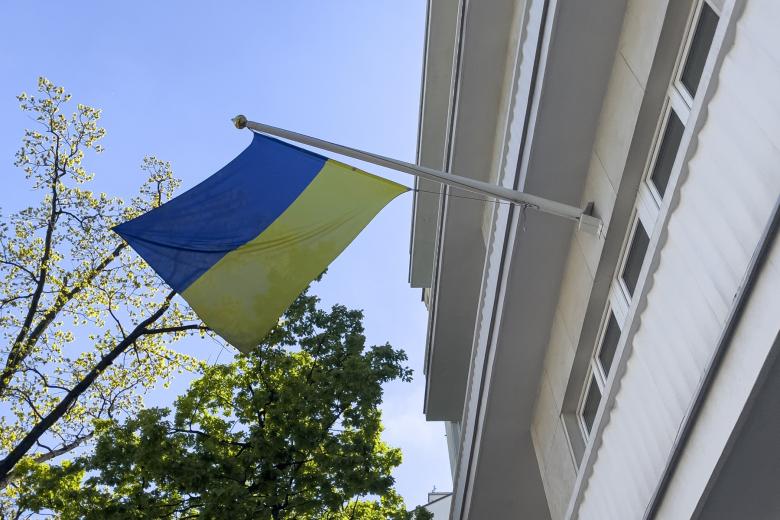 Żółto-niebieska flaga Ukrainy na tle drzew
