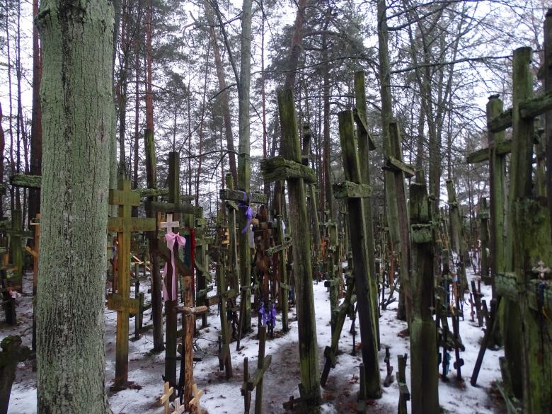 Zdjęcie: Las krzyży wotywnych na Świętej Górze Grabarce