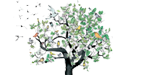 Okładka informatora - grafika przedstawiająca zielone drzewo