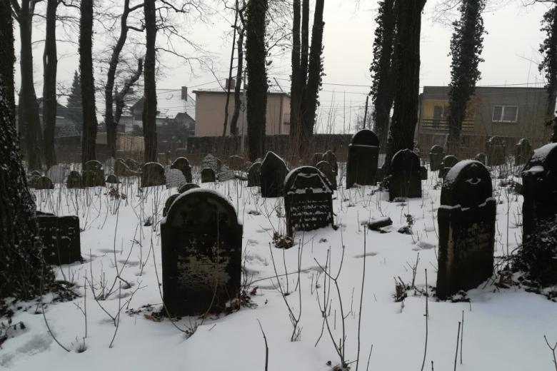 Zasrośnięty cmentarz, macewy, śnieg