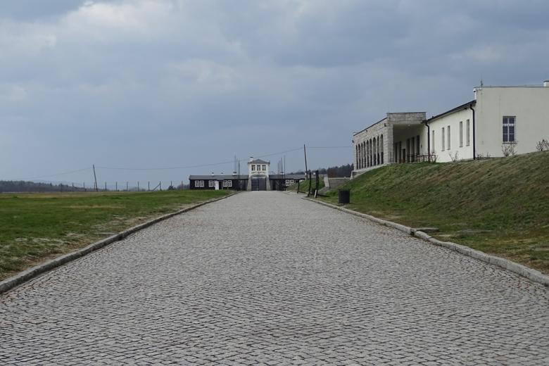 Aleja wśród szczątków baraków obozie koncentracyjnym