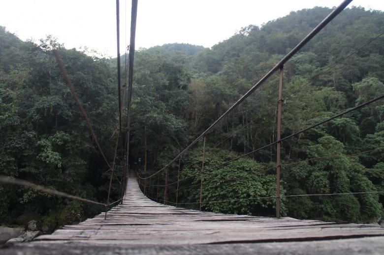 Wąski drewniany most wiszący nad doliną leśną
