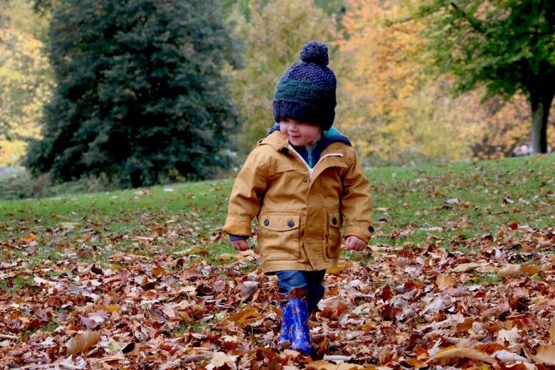 Pogodny dwulatek w czapeczce bawiący się w jesiennych liściach