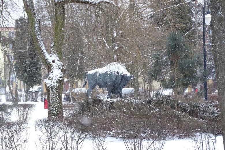 Pomnik żubra na skwerze, pada śnieg