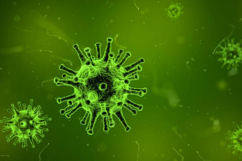 Wirus pod mikroskopem (zielone zdjęcie)
