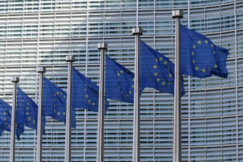 flagi UE przed budynkiem parlamentu UE