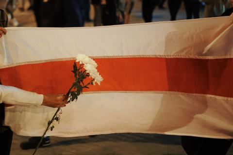 biały kwiat na tle dawnej flagi Białorusi  