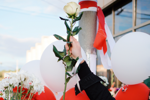 kwiat i flagi białoruskie podczas demonstracji ulicznej