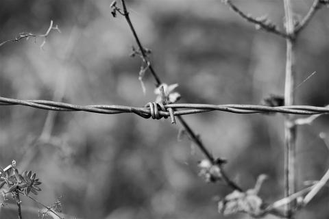czarno-białe zdjęcie drutu kolczastego