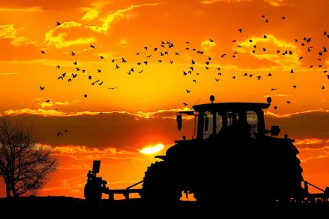 Traktor rolniczy stojący na polu na tle zachodzącego słońca