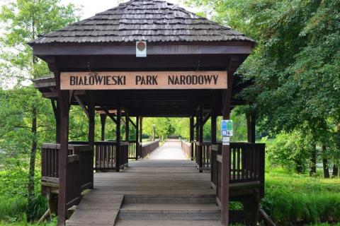 Zdjęcie wejścia do Białowieskiego Parku Narodowego 