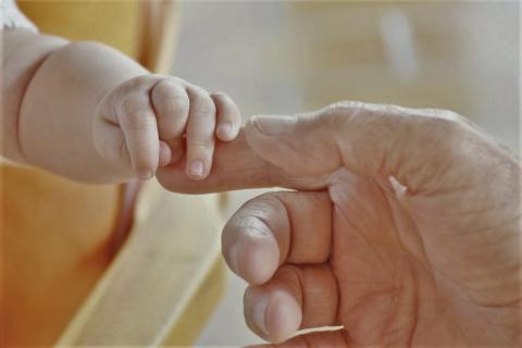 dłoń niemowlaka trzyma palec rodzica 