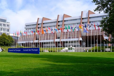 Gmach Rady Europy w Strasburgu. Przed budynkiem stoi szereg masztów, na których powiewają flagi państw członkowskich organizacji.