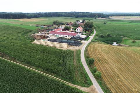 Widok z lotu ptaka zabudowań gospodarstwa rolnego otoczonych polami i łąkami 