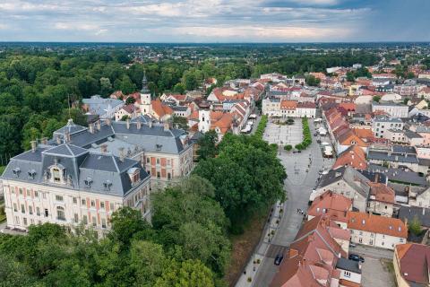 widok na miasto z lotu ptaka na pierwszym planie pałac 
