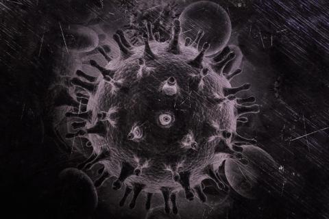 Kulka z wypustkami - wirus w powiększeniu