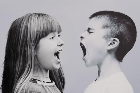 Dwoje dzieci, które krzyczą na siebie